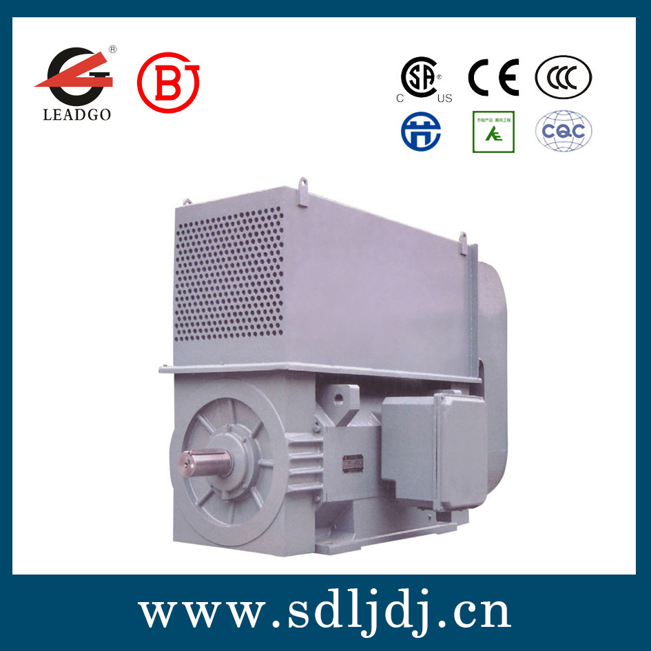 高壓電動機 高壓電動機