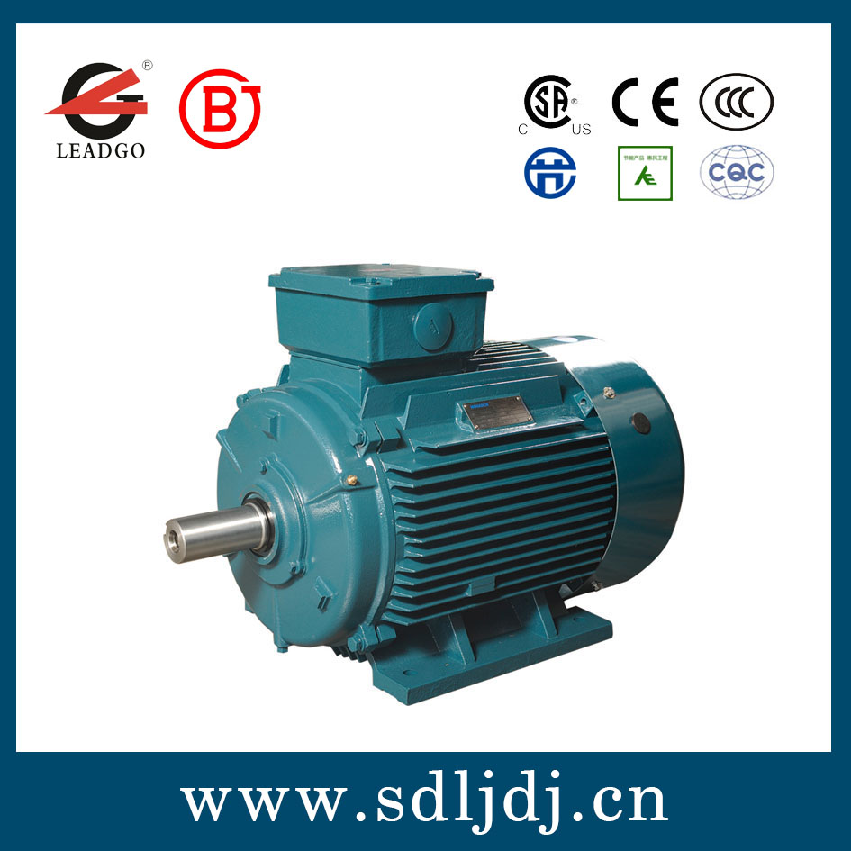 永磁電機(jī) 永磁電機(jī)