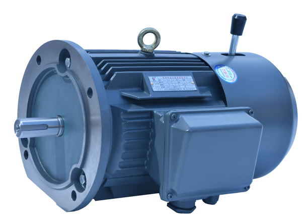 YEJ電磁制動(dòng)電機(jī)|剎車電機(jī) YEJ電磁制動(dòng)電機(jī)|剎車電機(jī)