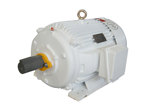 NEMA標準三相異步電動機(D設(shè)計、油井泵專用電機)